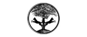 LA FORET NOIRE